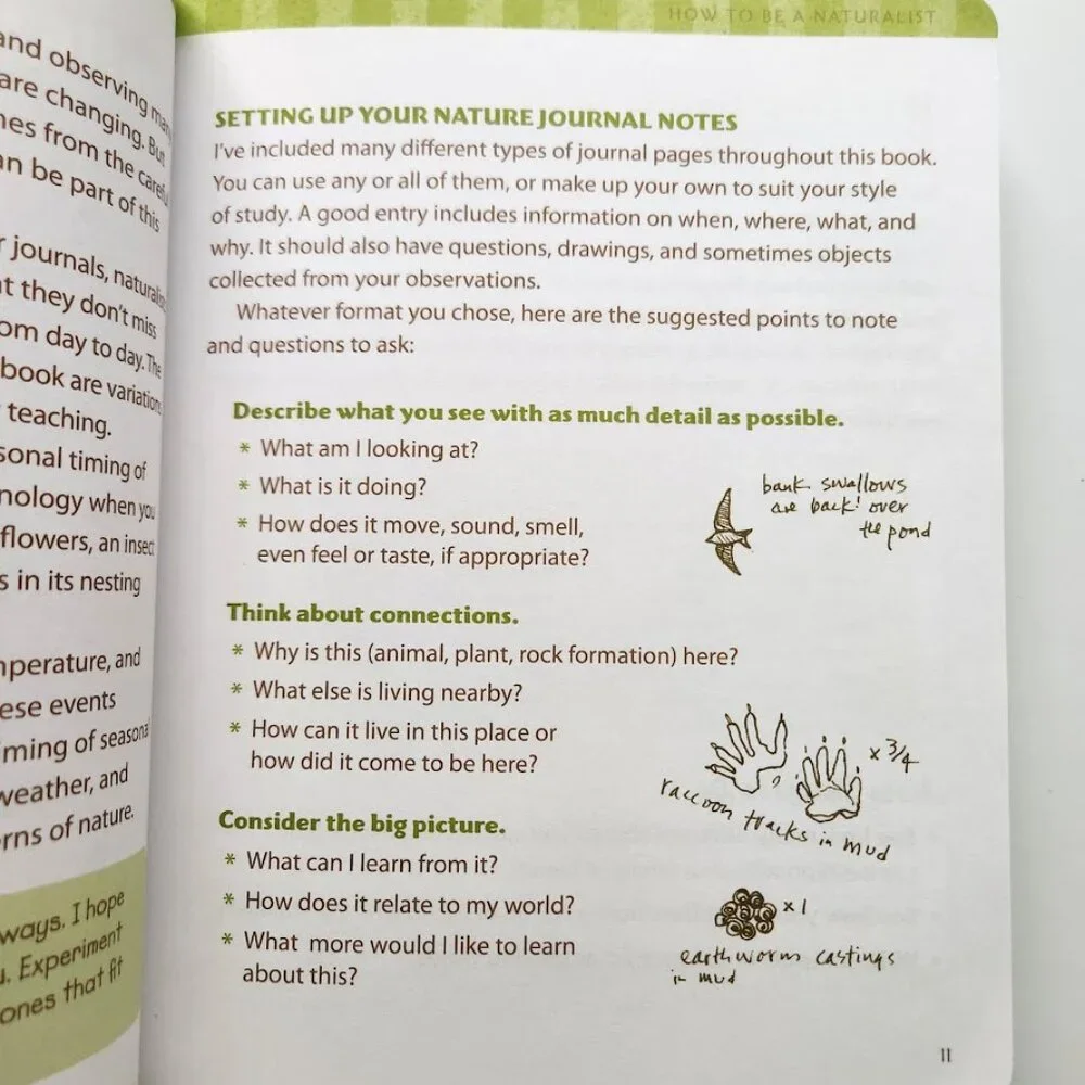The Nature Connection Outdoor Workbook for Kids, Families, and Classrooms Clare